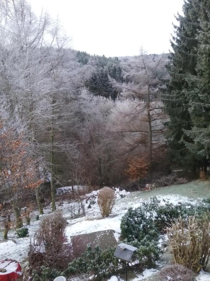 Ferienwohnung Perlbachtal Monschau Exterior foto