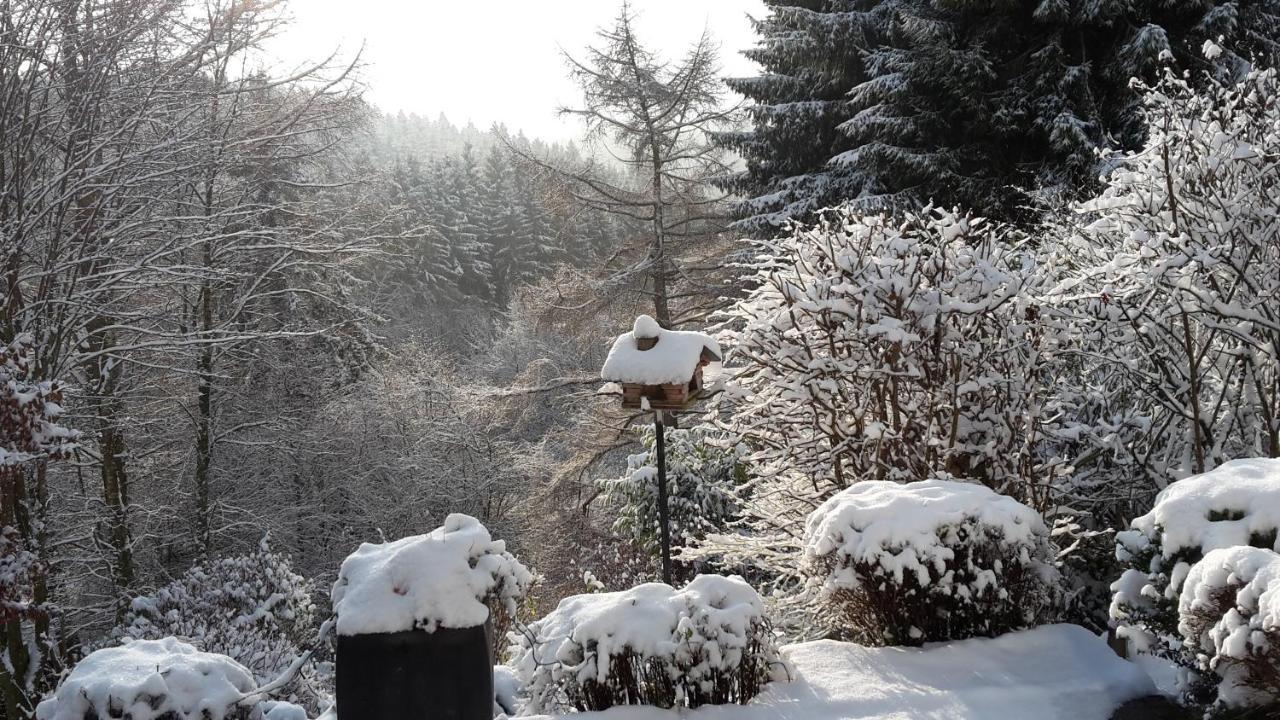 Ferienwohnung Perlbachtal Monschau Exterior foto