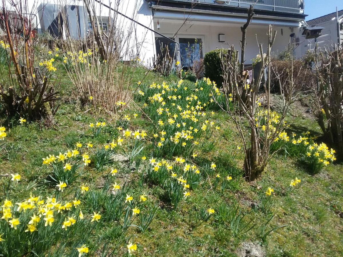 Ferienwohnung Perlbachtal Monschau Exterior foto