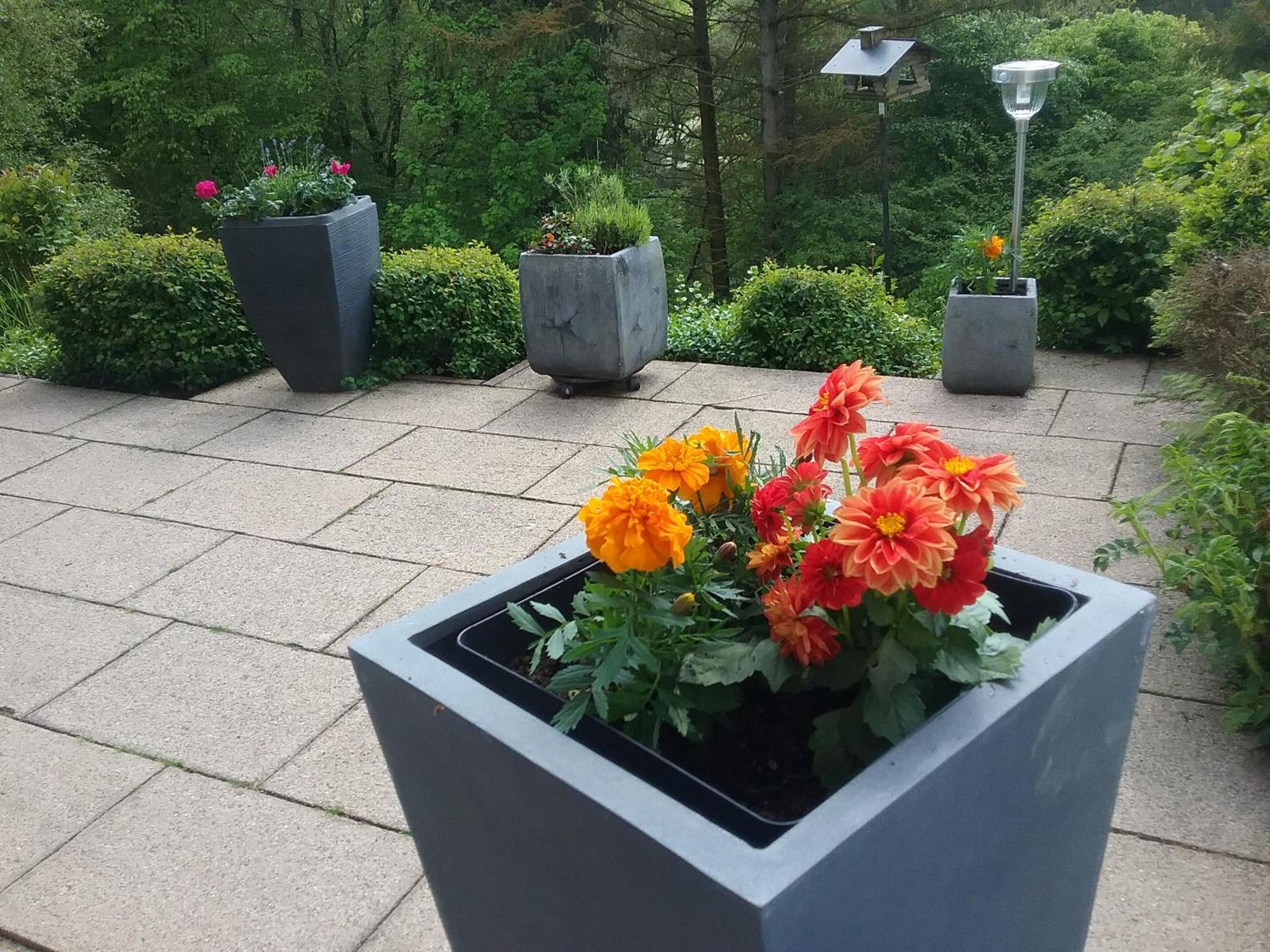 Ferienwohnung Perlbachtal Monschau Exterior foto